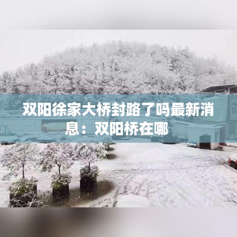 雙陽徐家大橋封路了嗎最新消息:雙陽橋在哪