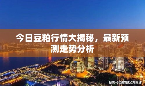 今日豆粕行情大揭秘,最新預測走勢分析