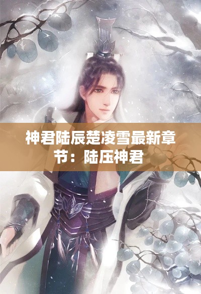 神君陸辰楚凌雪最新章節：陸壓神君 