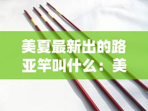 美夏最新出的路亞竿叫什么:美夏的魚竿怎么樣