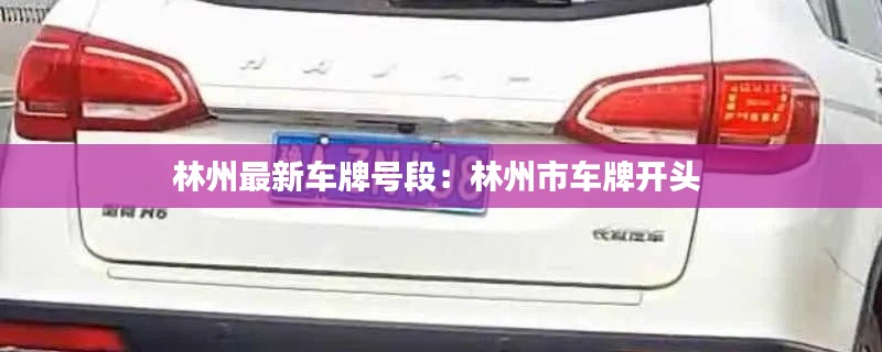 林州最新車牌號段:林州市車牌開頭