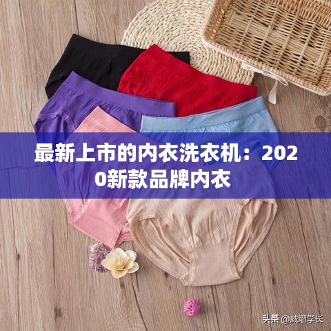 最新上市的內衣洗衣機:2020新款品牌內衣