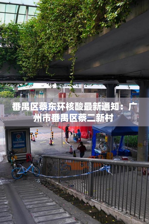 番禺區蔡東環核酸最新通知:廣州市番禺區蔡二新村