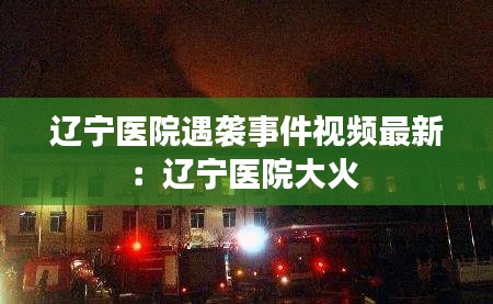 飛箭如蝗 第3頁