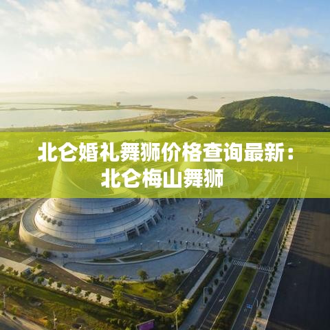 北侖婚禮舞獅價格查詢最新:北侖梅山舞獅