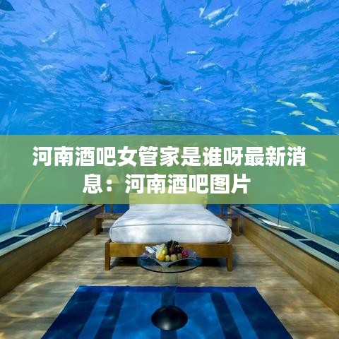 河南酒吧女管家是誰呀最新消息:河南酒吧圖片