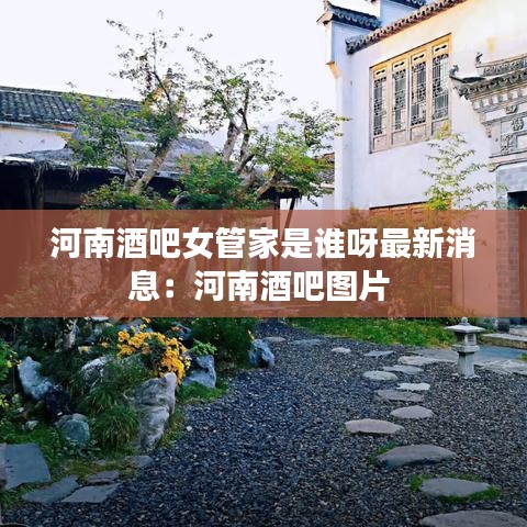 河南酒吧女管家是誰呀最新消息:河南酒吧圖片