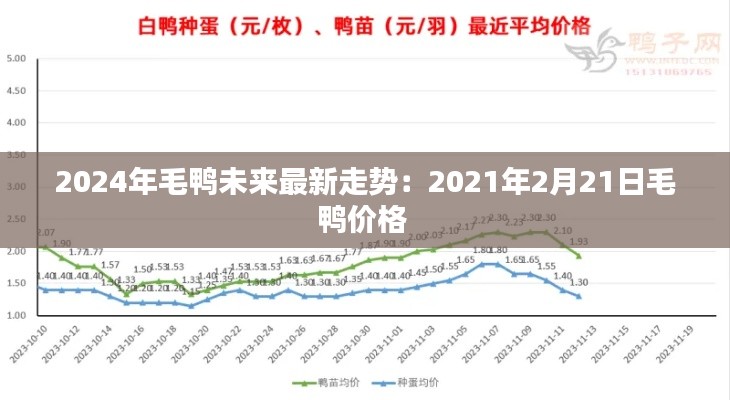 2024年毛鴨未來最新走勢：2021年2月21日毛鴨價格 