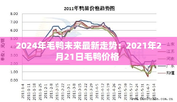 2024年毛鴨未來最新走勢:2021年2月21日毛鴨價格