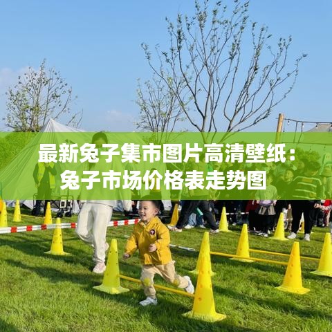 最新兔子集市圖片高清壁紙:兔子市場價格表走勢圖