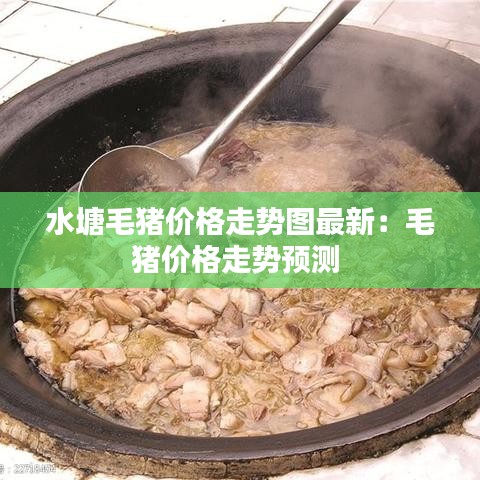 水塘毛豬價格走勢圖最新:毛豬價格走勢預測