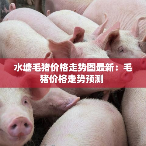 水塘毛豬價格走勢圖最新:毛豬價格走勢預(yù)測