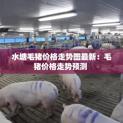 水塘毛豬價格走勢圖最新:毛豬價格走勢預(yù)測