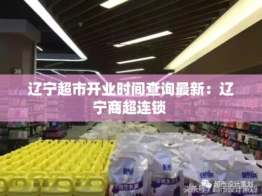 遼寧超市開業時間查詢最新：遼寧商超連鎖 