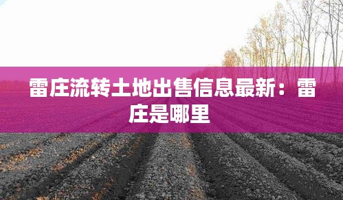 雷莊流轉土地出售信息最新:雷莊是哪里