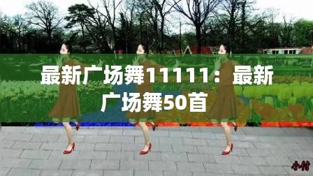 最新廣場舞11111:最新廣場舞50首