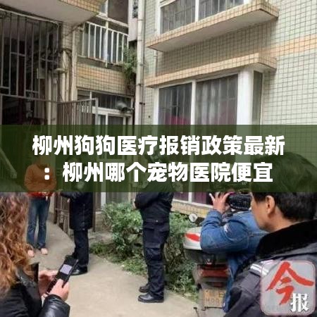 柳州狗狗醫療報銷政策最新:柳州哪個寵物醫院便宜