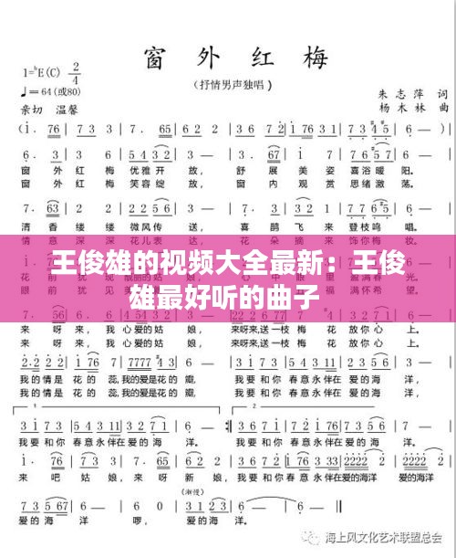 王俊雄的視頻大全最新:王俊雄最好聽的曲子