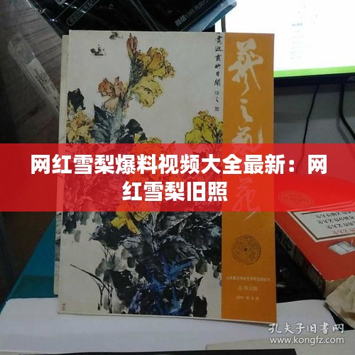 網紅雪梨爆料視頻大全最新:網紅雪梨舊照