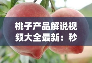桃子產品解說視頻大全最新：秒懂百科桃子 