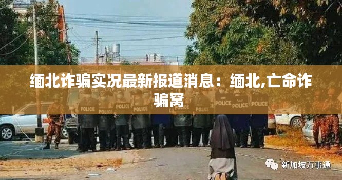 長頸鳥喙 第2頁