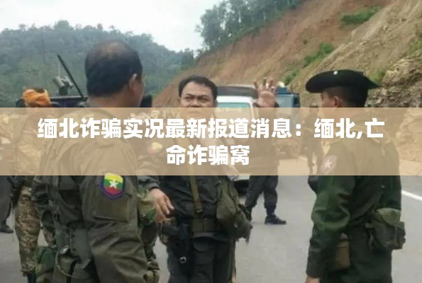 緬北詐騙實況最新報道消息:緬北,亡命詐騙窩