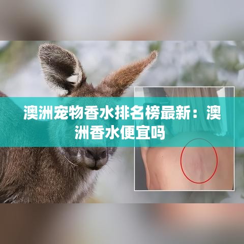 澳洲寵物香水排名榜最新:澳洲香水便宜嗎