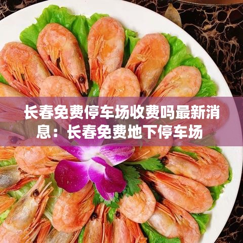 長(zhǎng)春免費(fèi)停車場(chǎng)收費(fèi)嗎最新消息：長(zhǎng)春免費(fèi)地下停車場(chǎng) 