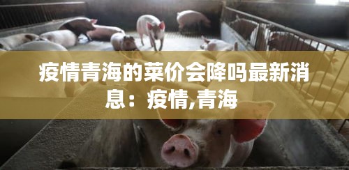 疫情青海的菜價會降嗎最新消息:疫情,青海