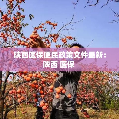 陜西醫保便民政策文件最新:陜西 醫保