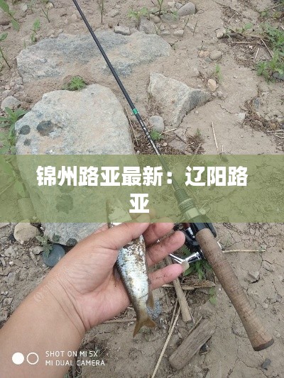 錦州路亞最新:遼陽路亞
