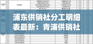 浦東供銷社分工明細表最新:青浦供銷社主任