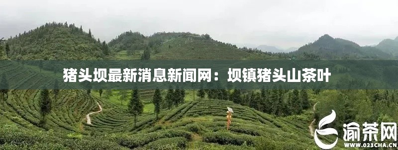 風華絕代 第3頁