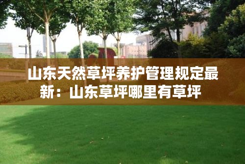 山東天然草坪養護管理規定最新:山東草坪哪里有草坪