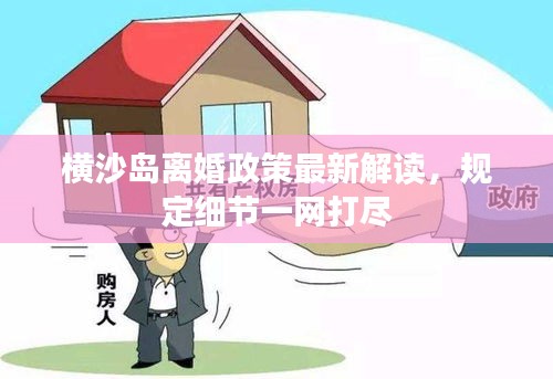 橫沙島離婚政策最新解讀,規定細節一網打盡