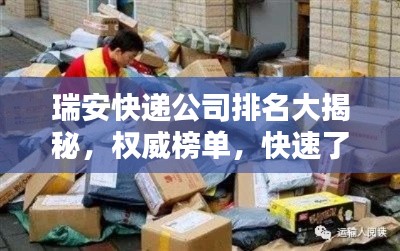 瑞安快遞公司排名大揭秘,權威榜單,快速了解各大快遞公司優劣!