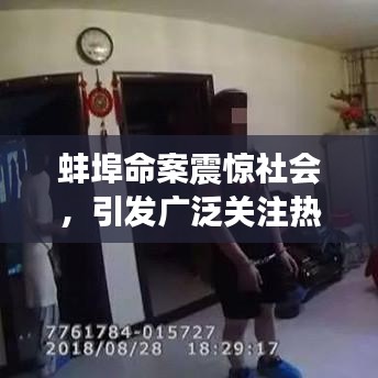 蚌埠命案震驚社會(huì),引發(fā)廣泛關(guān)注熱議