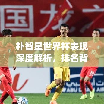 樸智星世界杯表現(xiàn)深度解析,排名背后的故事