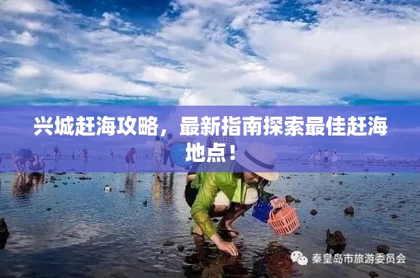 興城趕海攻略,最新指南探索最佳趕海地點!