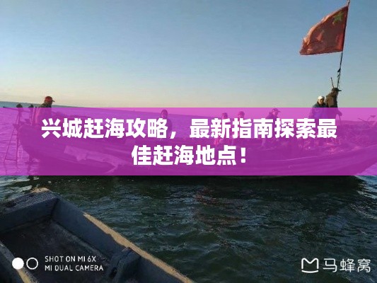 興城趕海攻略,最新指南探索最佳趕海地點!