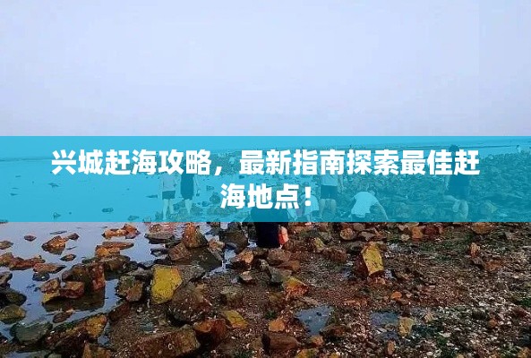興城趕海攻略,最新指南探索最佳趕海地點!