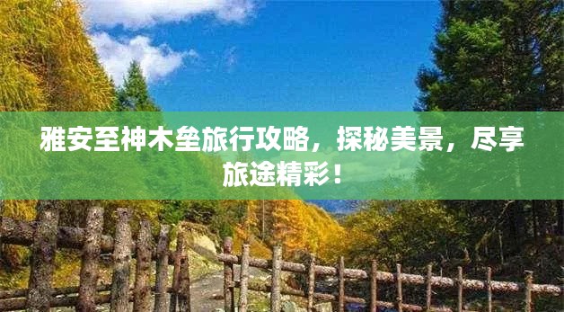 雅安至神木壘旅行攻略,探秘美景,盡享旅途精彩!
