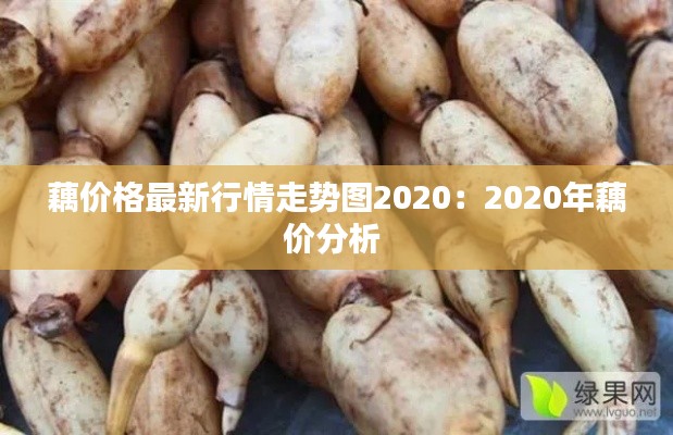 藕價格最新行情走勢圖2020:2020年藕價分析
