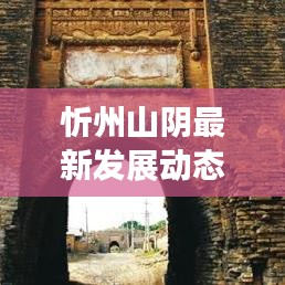 忻州山陰最新發展動態,地方進步與社會民生改善頭條新聞