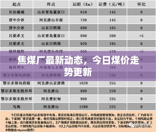 焦煤廠最新動態,今日煤價走勢更新