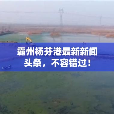 霸州楊芬港最新新聞頭條，不容錯過！