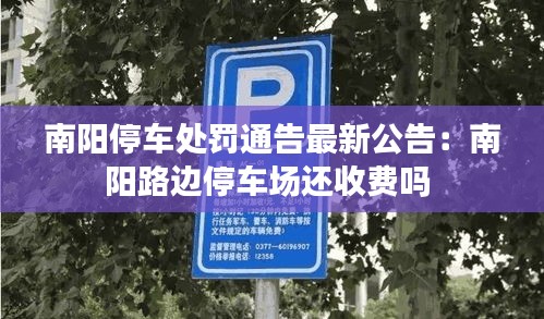 南陽停車處罰通告最新公告:南陽路邊停車場還收費嗎