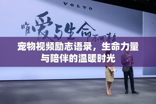 寵物視頻勵志語錄，生命力量與陪伴的溫暖時光