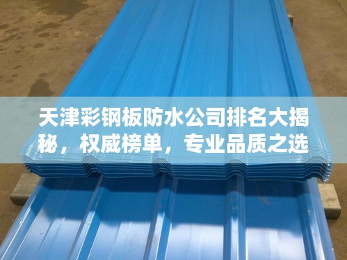 天津彩鋼板防水公司排名大揭秘，權威榜單，專業品質之選！