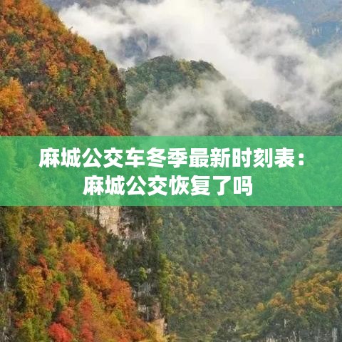 學貫中西 第4頁